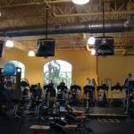 Golds Gym Interior
Donald Ross Village 
Palm Beach Gardens, FL